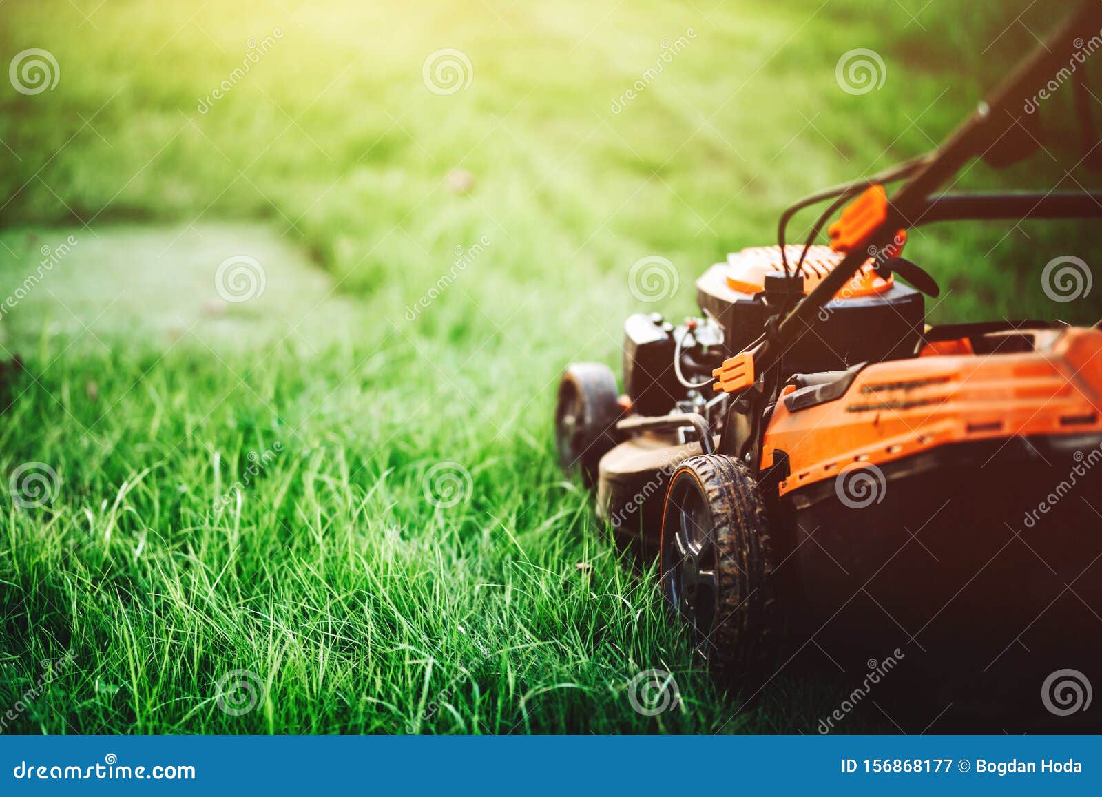 cutting grass in backyard. gardening and landscaping concept