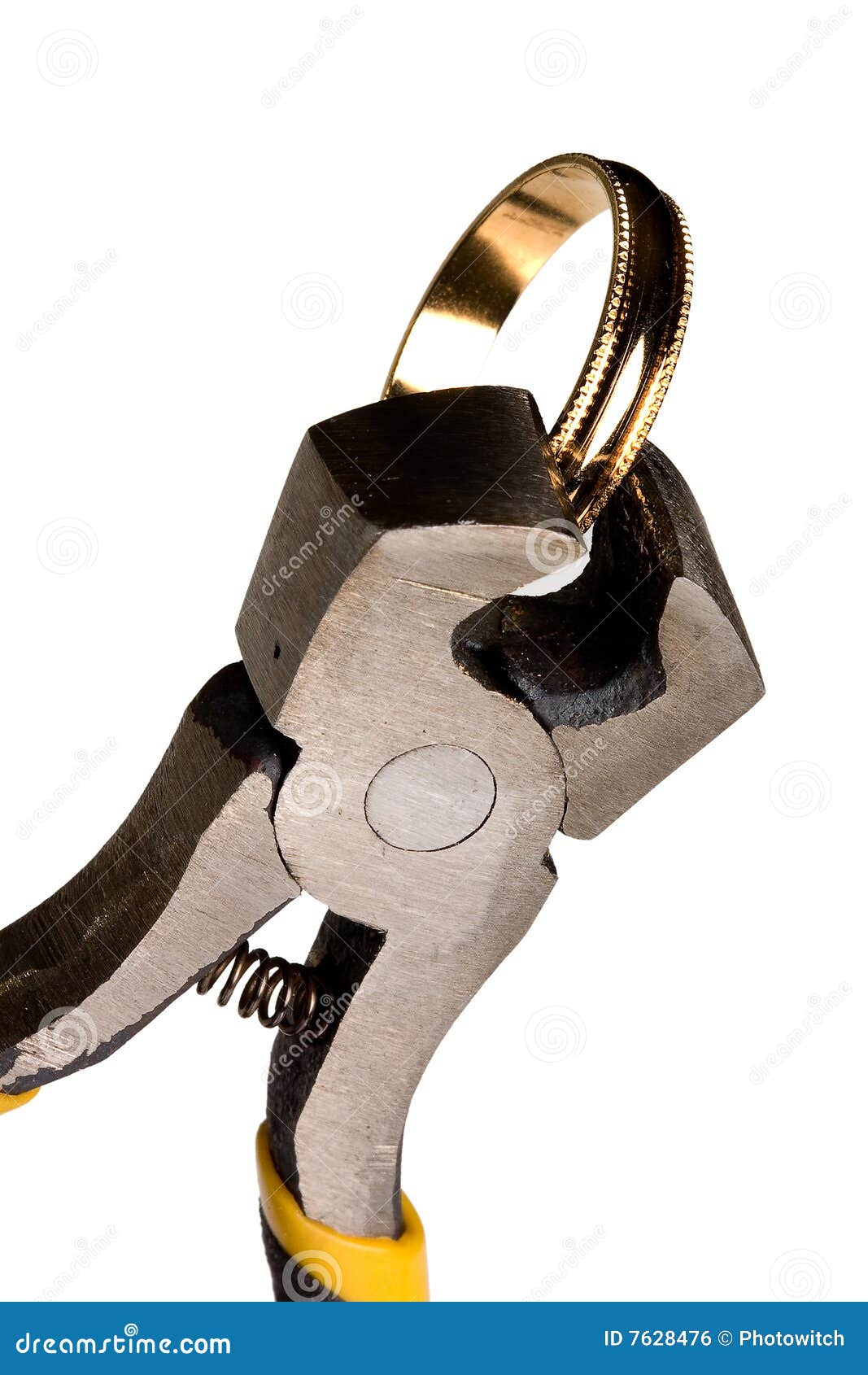 Cutting her ring stock photo. Image of cutting, rings 7628476