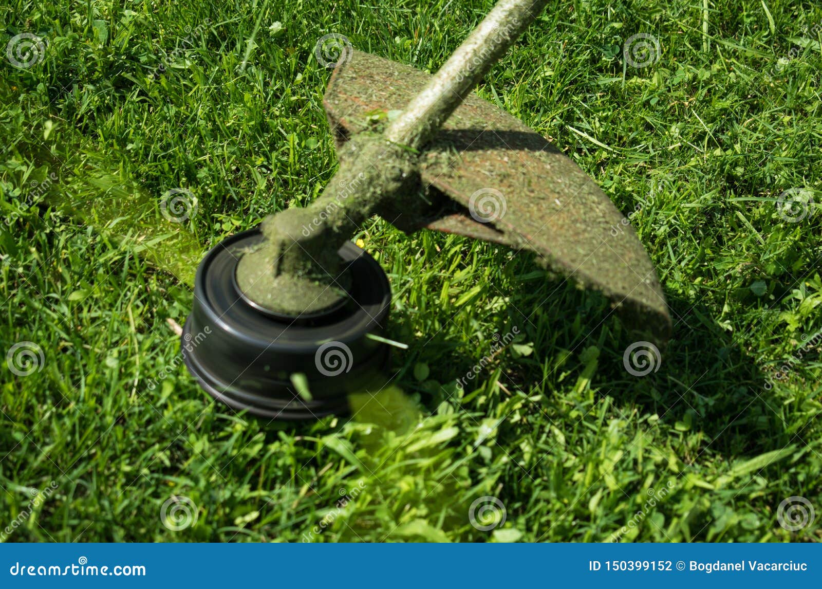 Cutting the Lawn with the Mechanical Mower Stock Photo Image of