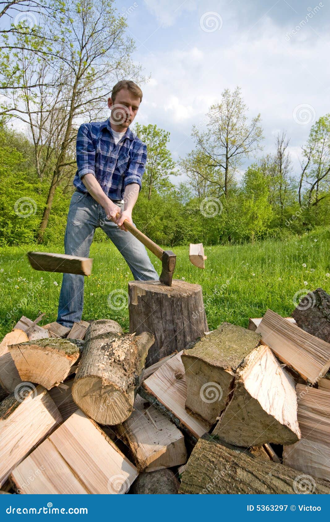 Cutting Wood Royalty Free Stock Photography - Image: 5363297
