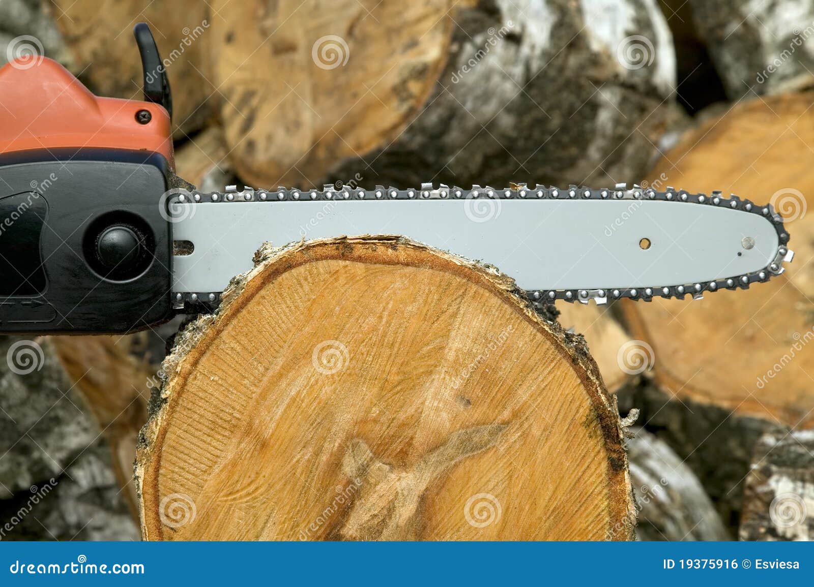 Cutting Wood with Gas Chain Saw Stock Photo Image of timber, rough