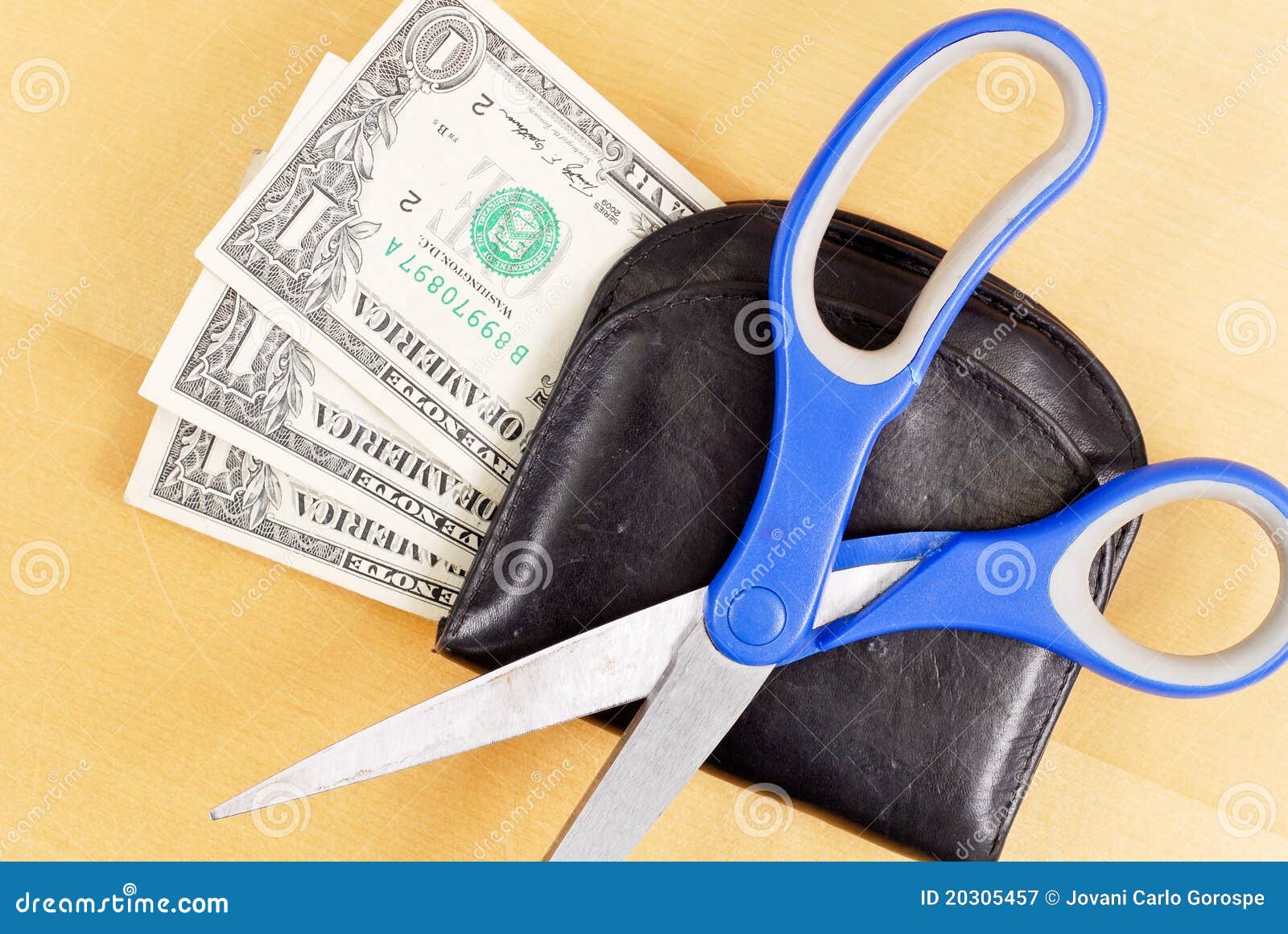 Cutting Your Budget stock image. Image of coupon, crash 20305457