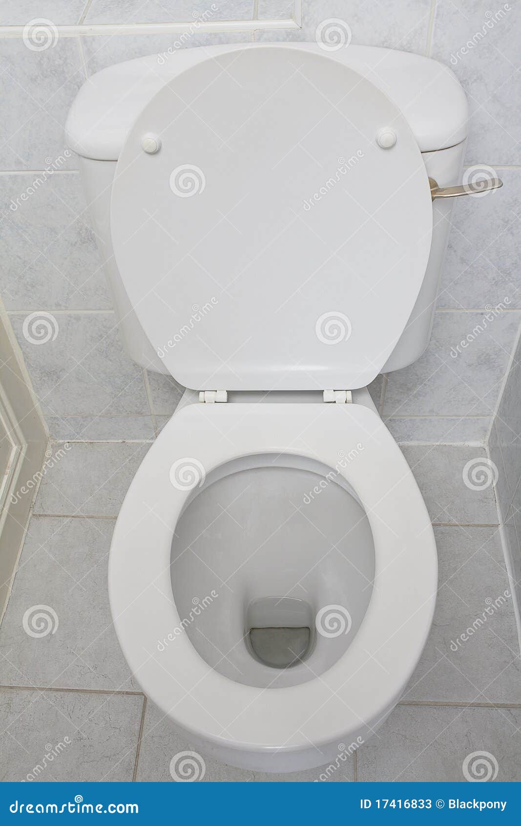 Cuvette De Toilette Photos stock Image 17416833