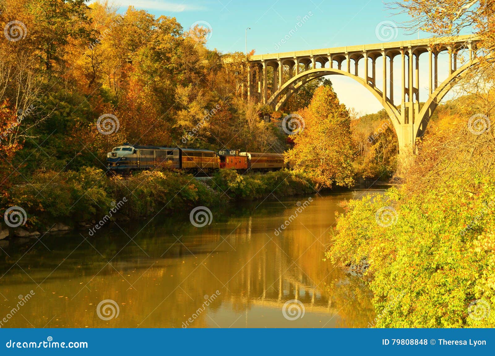 cuyahoga valley scenic railroad train under bridge overpass