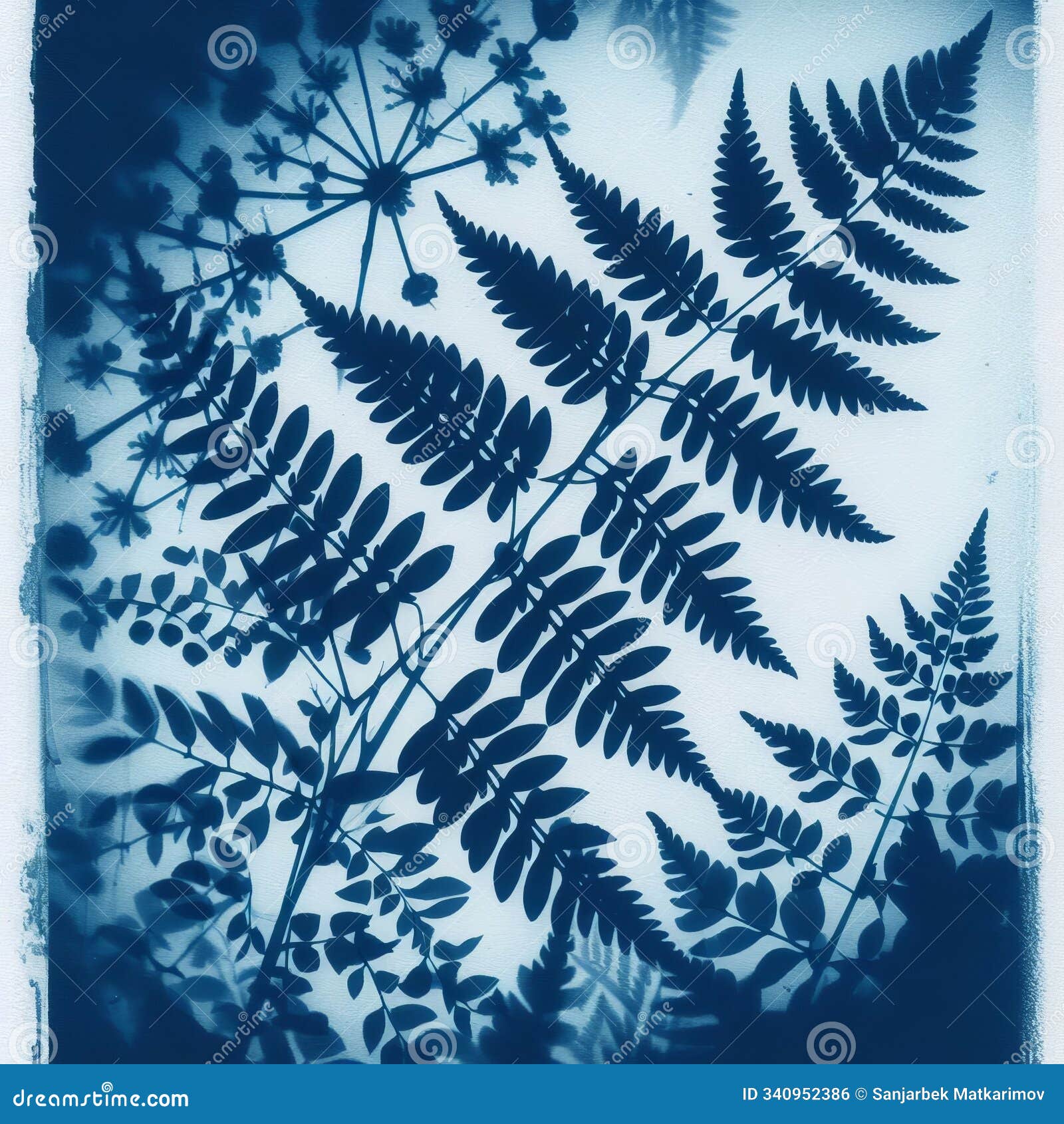cyanotype photogram explore the cyanotype printing technique to