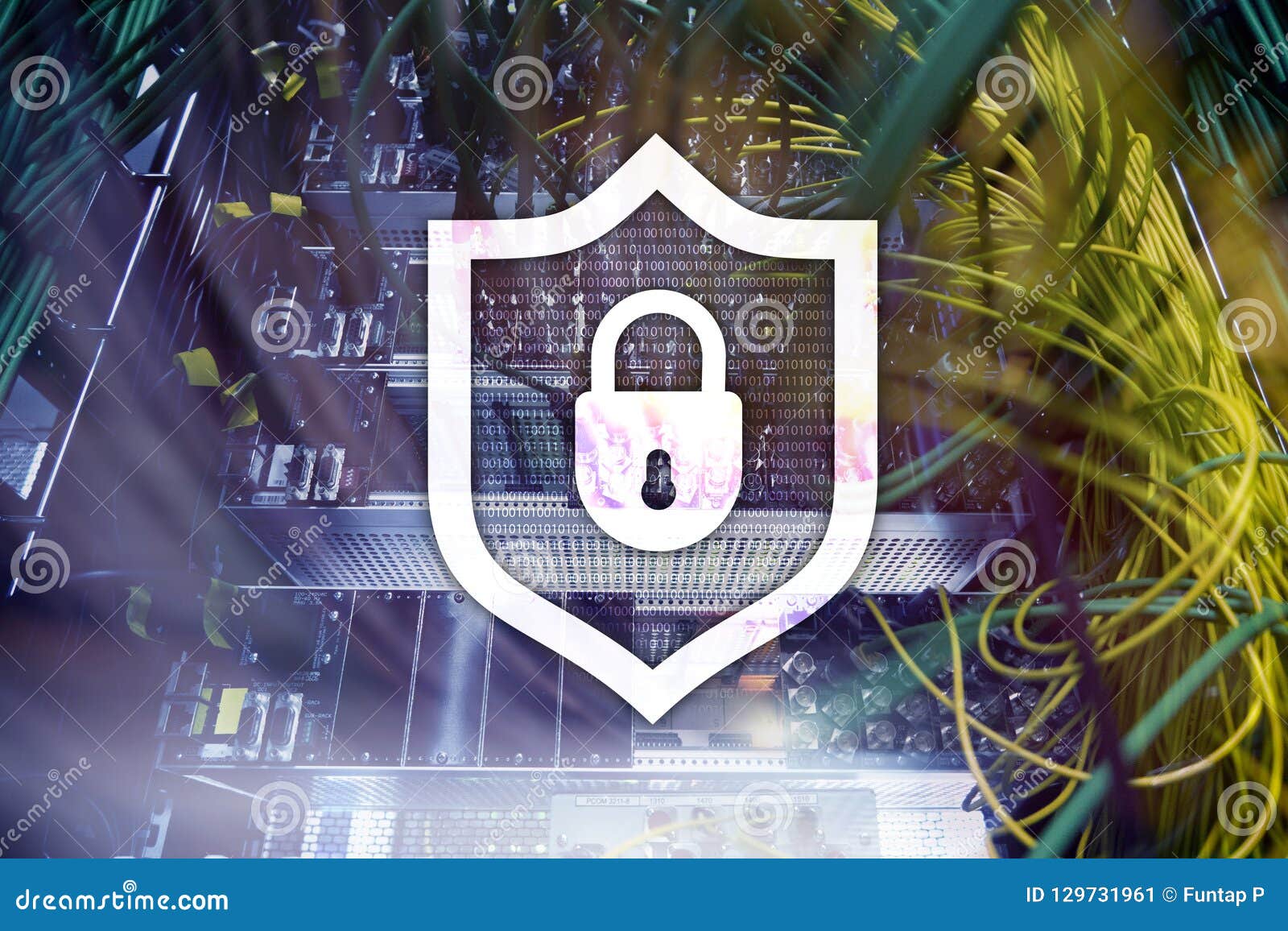 shield protection home security