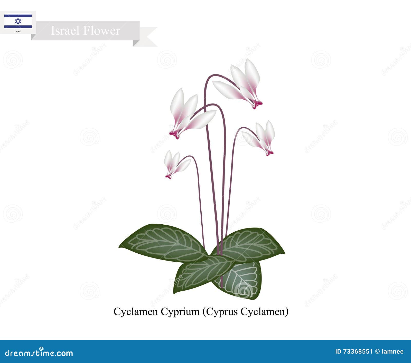 My Image 12