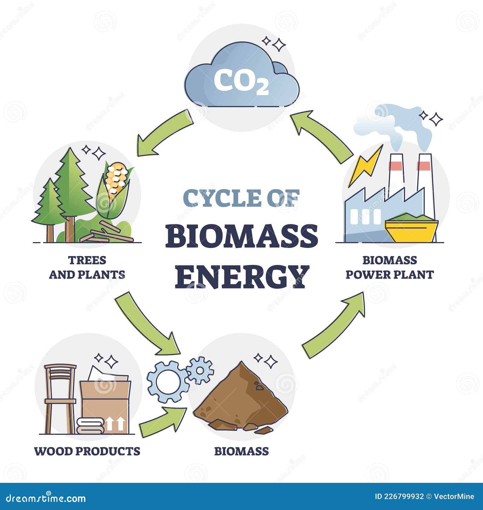 Biomass Biomass production