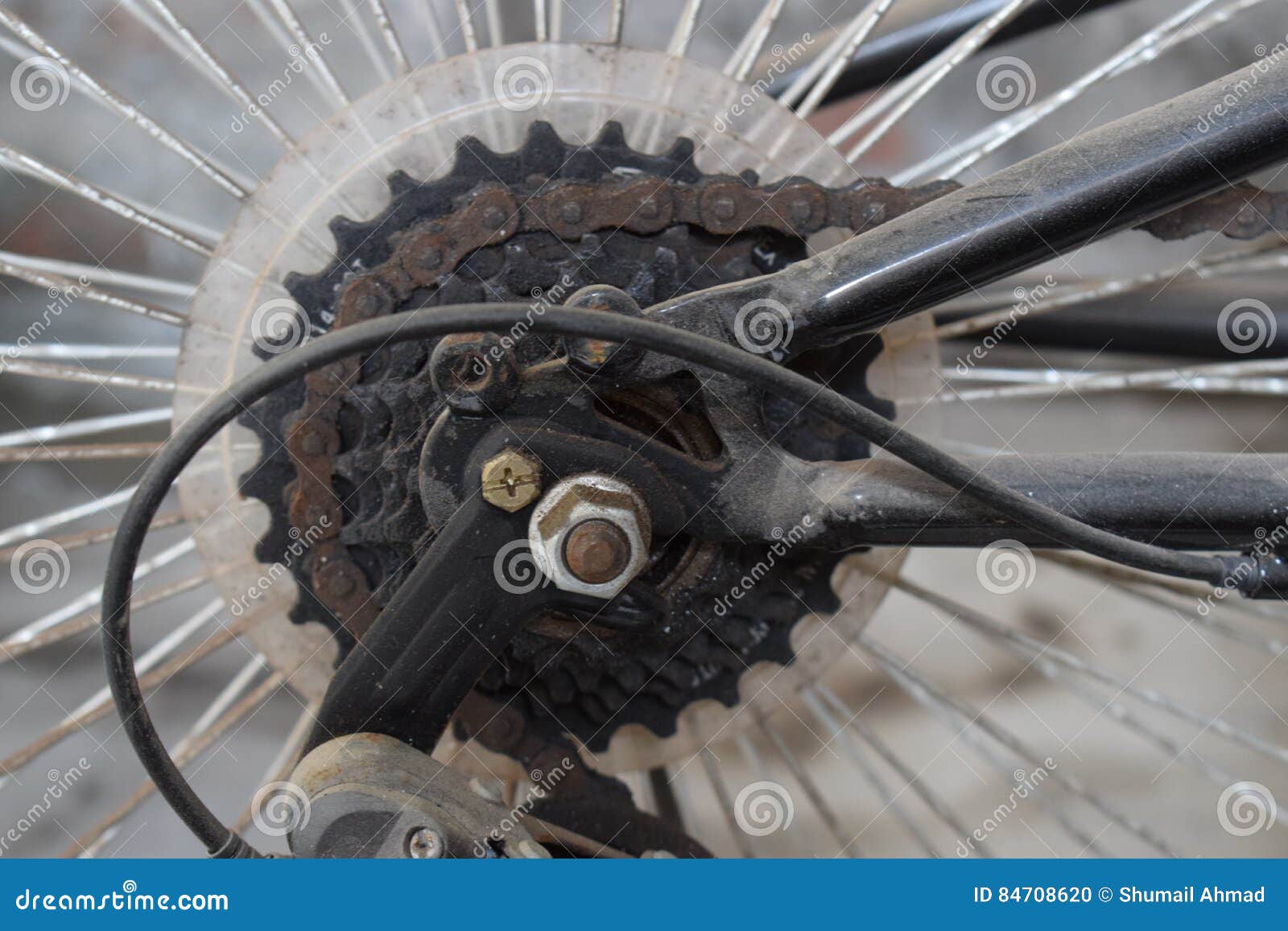 cycle cassette