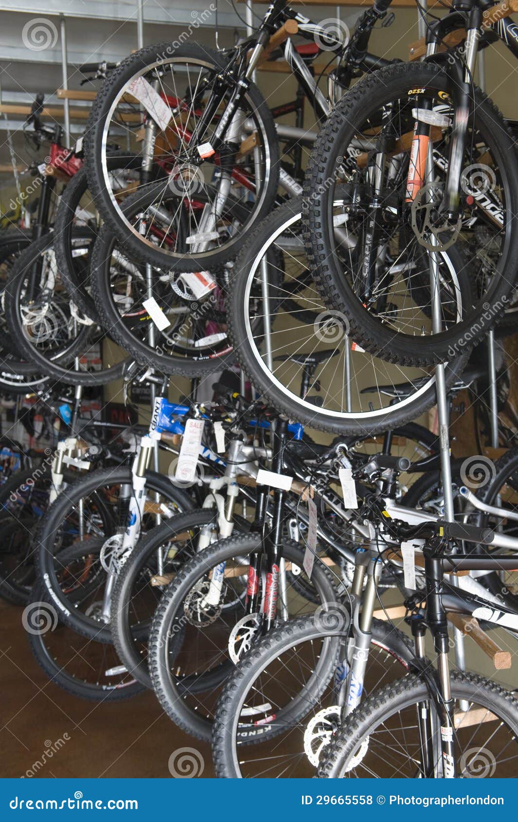 cycles for sale