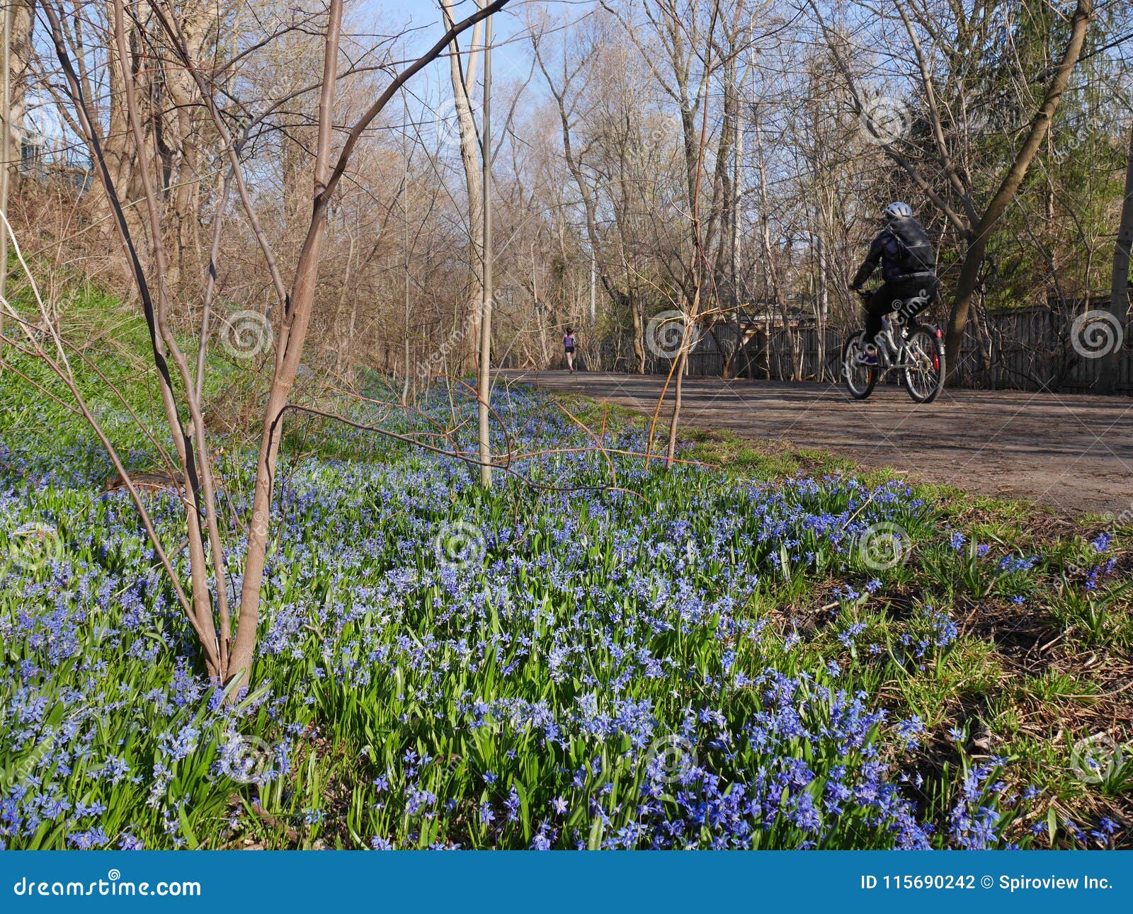 Cycling and jogging path stock photo. Image of cycling 115690242