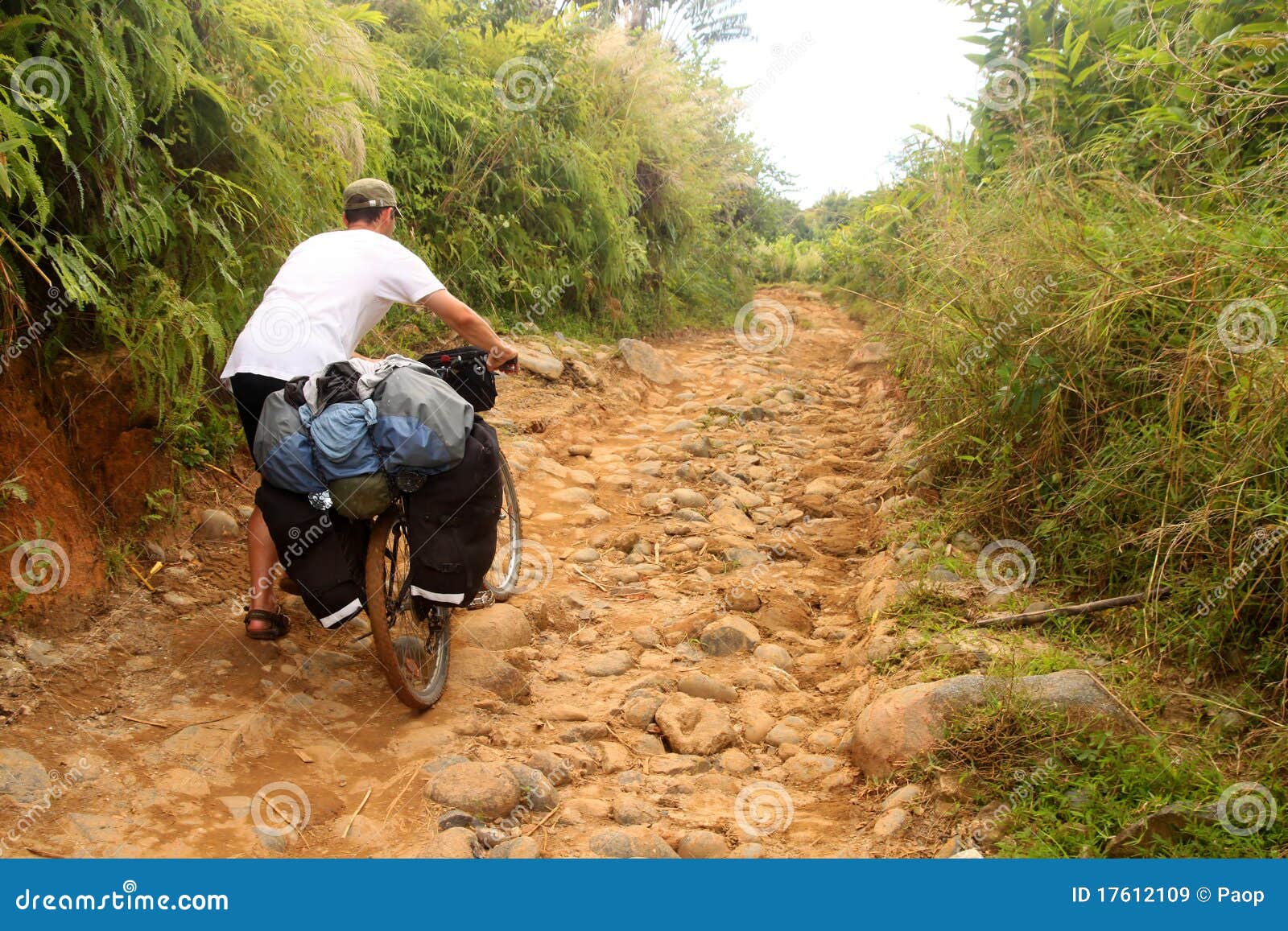 Cycling through jungle stock image. Image of adventure 17612109