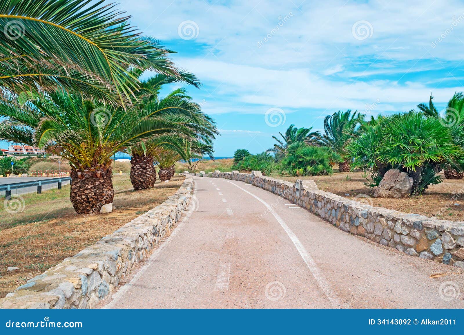 Cycling lane with palms stock photo. Image of plants 34143092