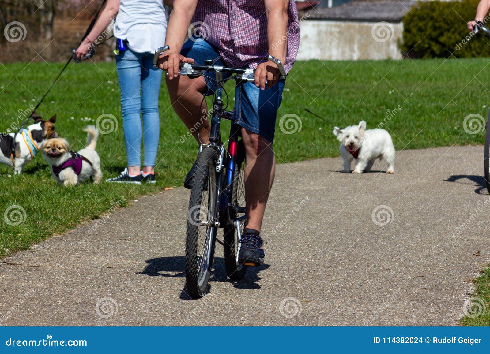 Cycling outdoor stock photo. Image of bike, bicycle - 114382024