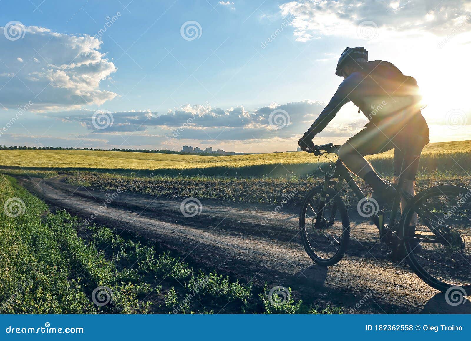 Cyclist on Bike Rides Along the Fields of Wheat in the Sunlight Stock