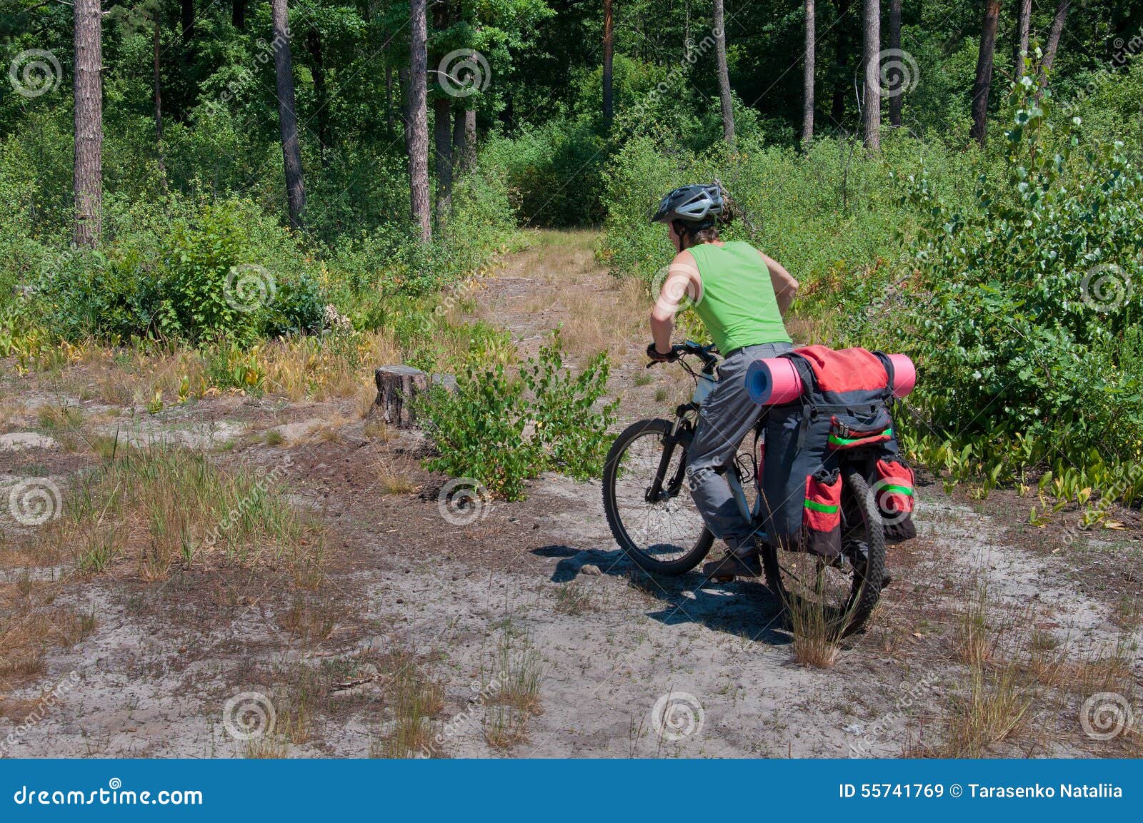 Cyclist Practicing Mountain Bike on a Forest Trail Stock Image Image