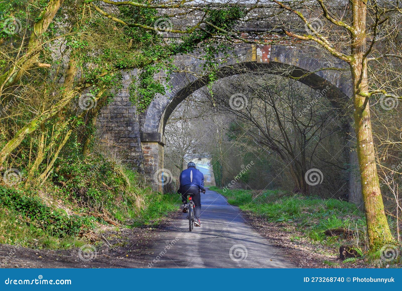 A Cyclist Riding on the Tarka Trail Near Barnstaple in Devon, UK Stock