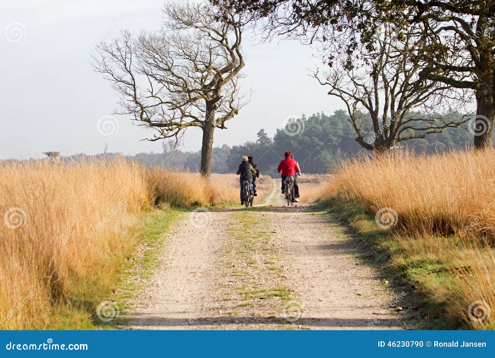 Deelen, Netherlands - October 28, 2014: Cyclists in the woods, Netherlands