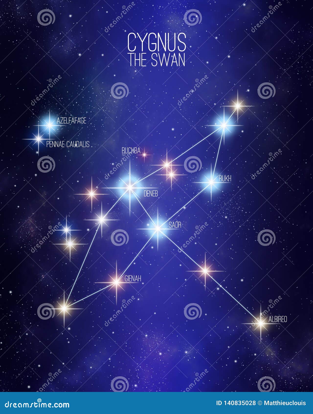 Cygnus The Swan Constellation On A Starry Space Background Royalty-Free ...