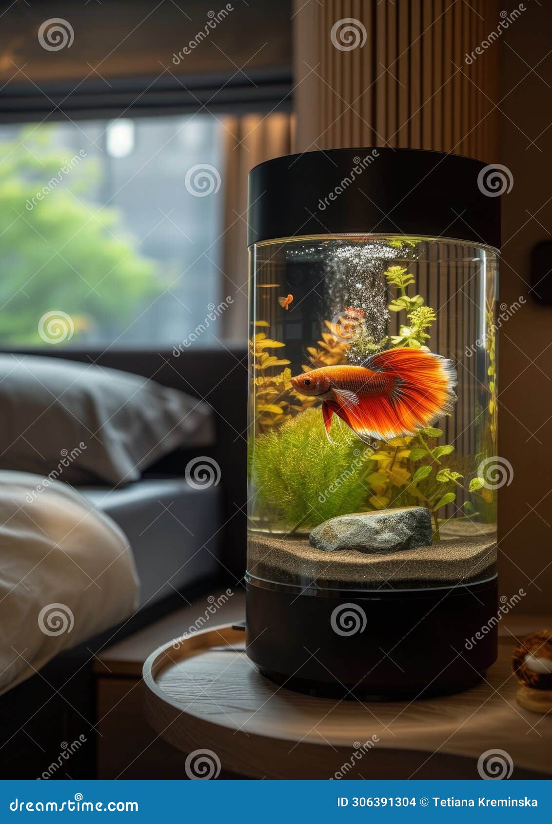 Cylindrical Fish Tank Stock Photos - Free & Royalty-Free Stock Photos from  Dreamstime