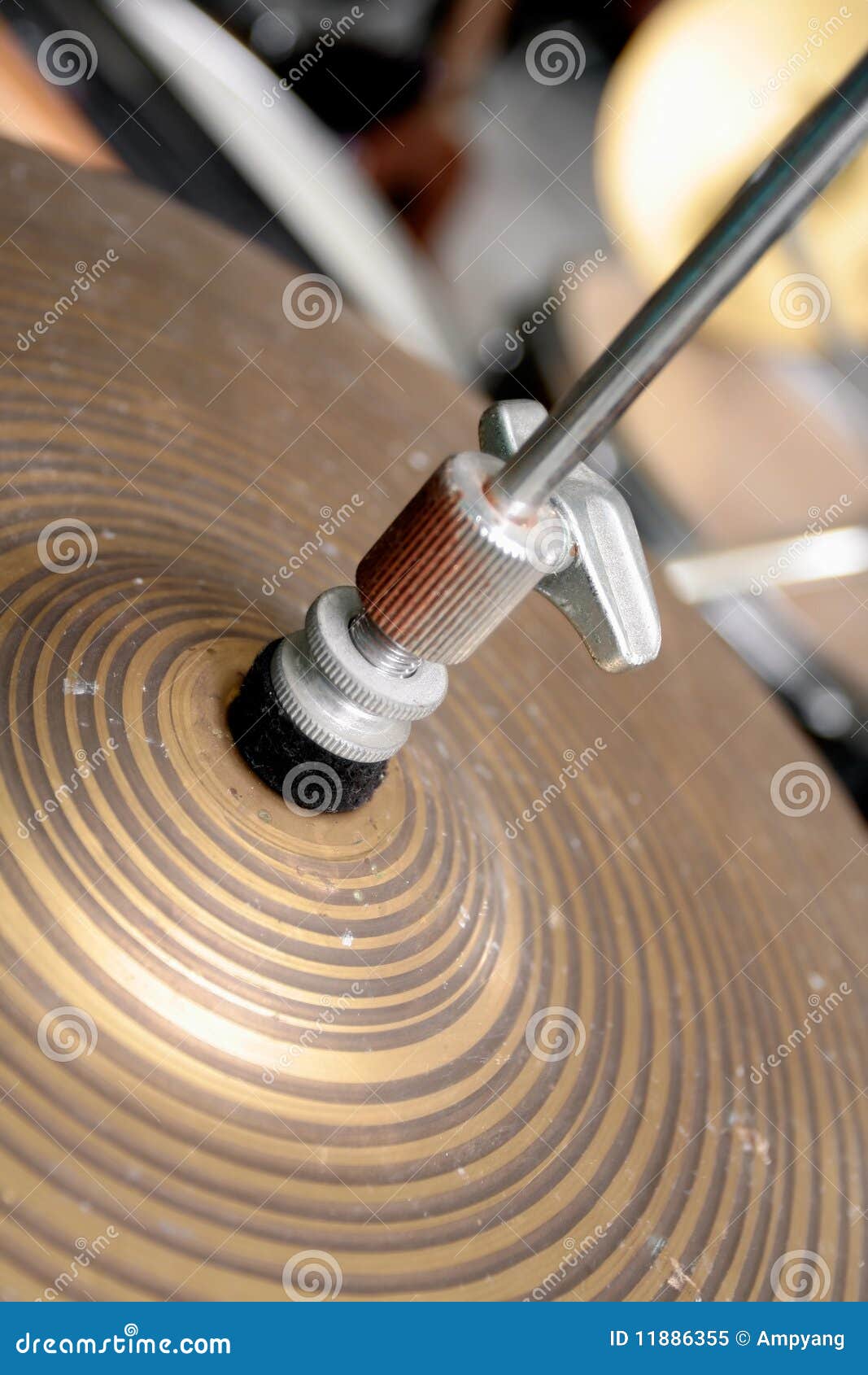 cymbal of a drum set
