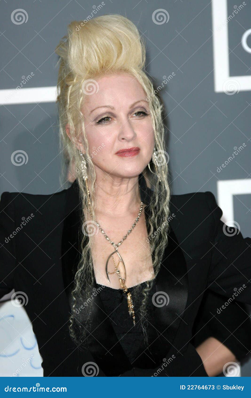 Cyndi Lauper editorial stock photo. Image of grammy, awards 22764673