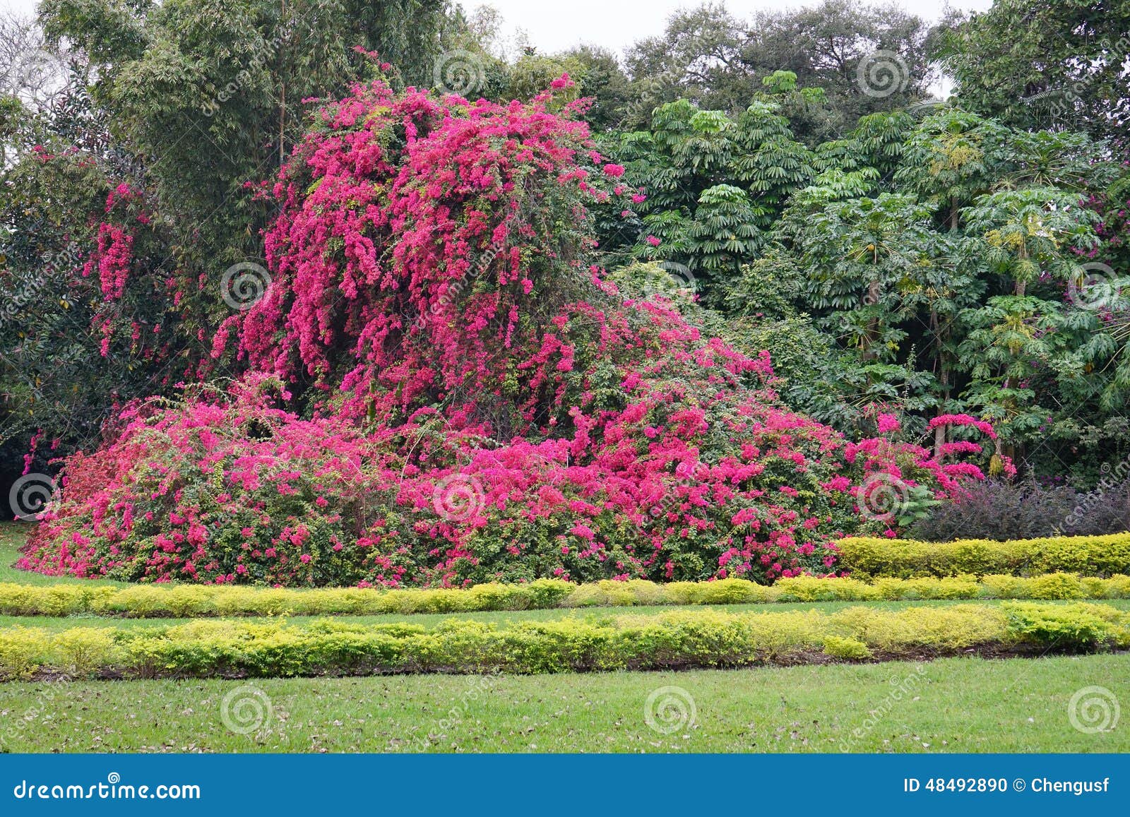 The Cypress Garden In Legoland Florida Stock Photo Image Of