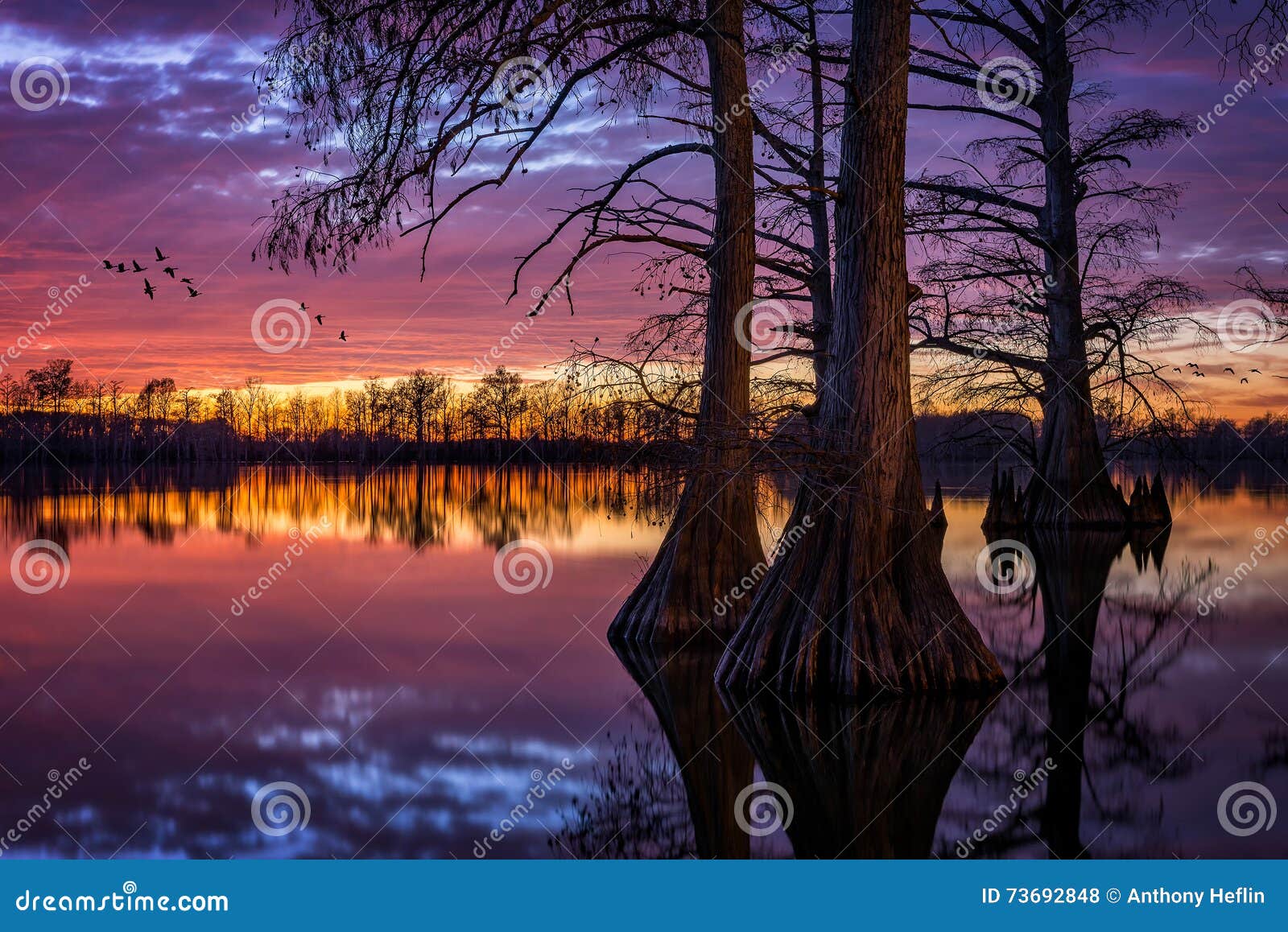 cypress lake, scenic sunset, southern illinois