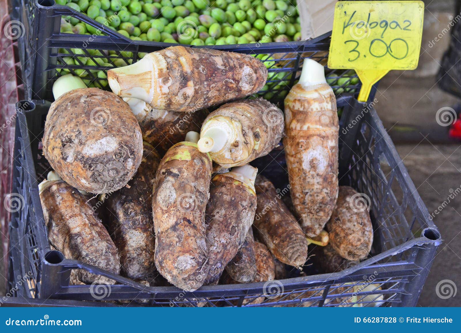 Cyprus, Nicosia stock photo. Image of kolokas, grocery 66287828