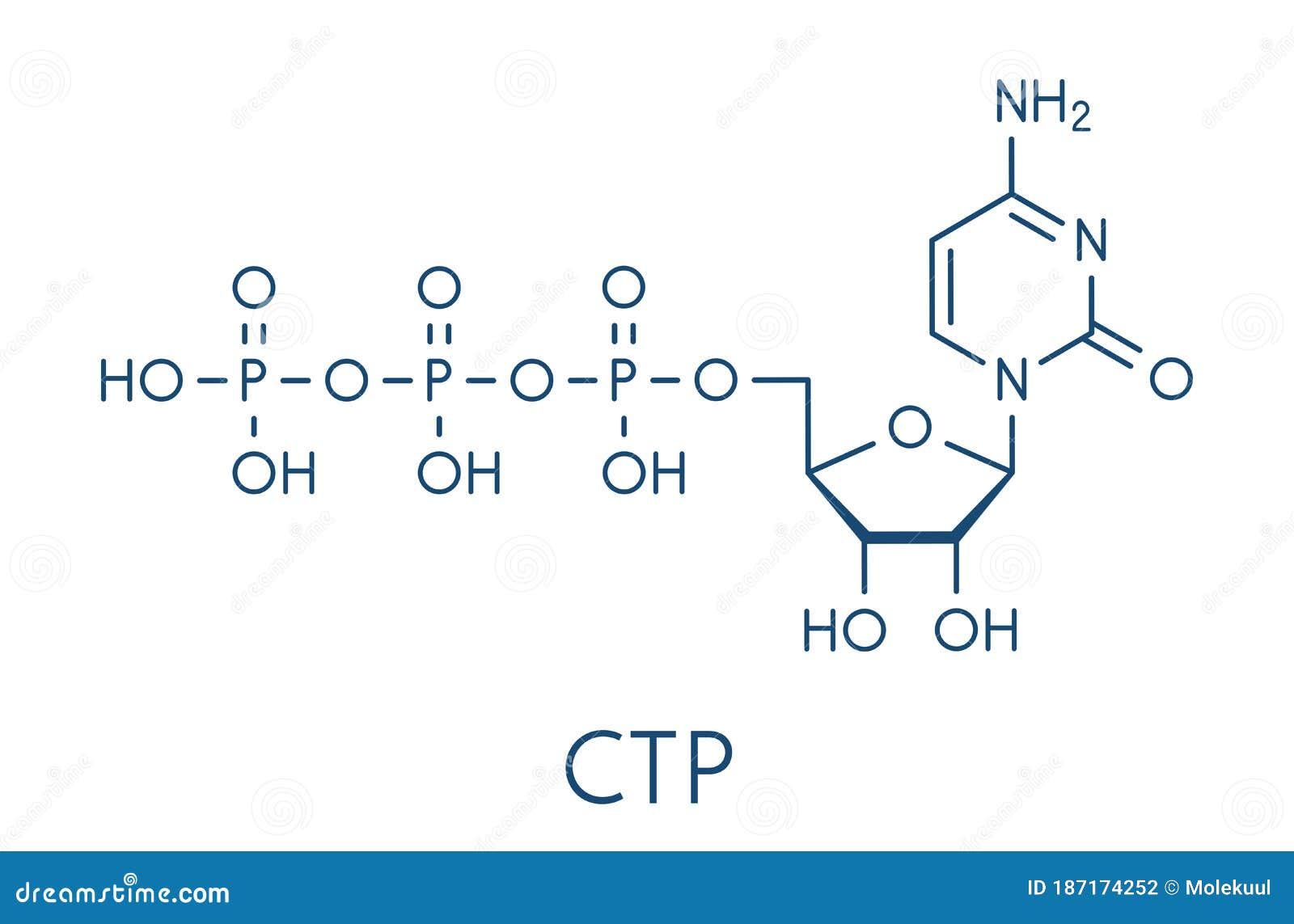 cytidine triphosphate ctp rna building block molecule. also functions as cofactor to some enzymes. skeletal formula.