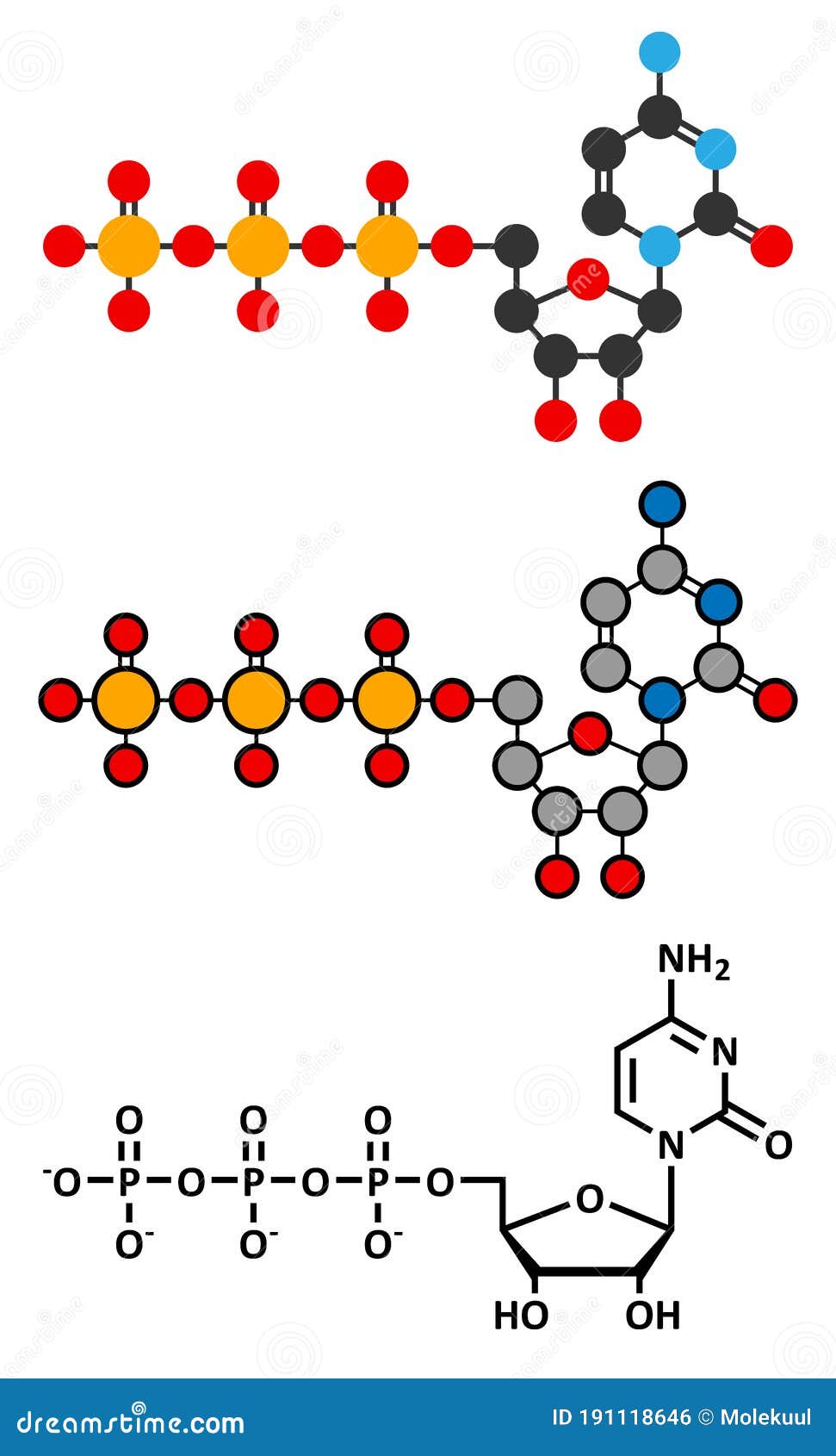 cytidine triphosphate (ctp) rna building block molecule. also functions as cofactor to some enzymes