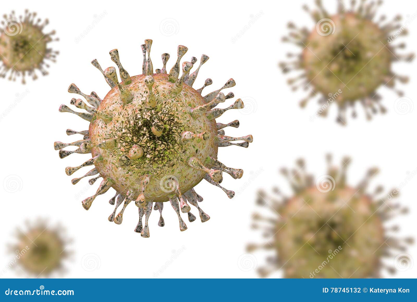 cytomegalovirus, dna virus from herpesviridae family