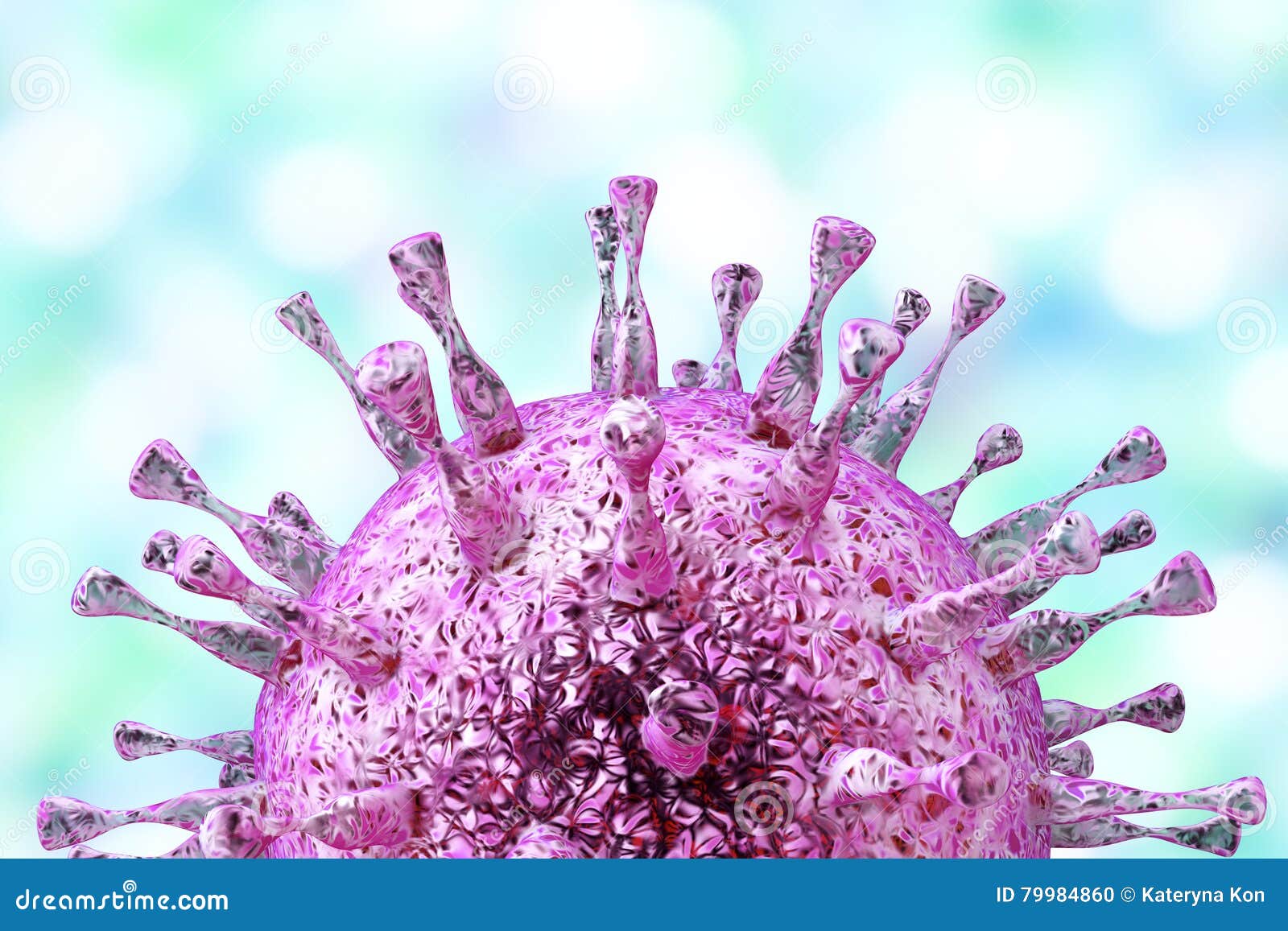 cytomegalovirus, dna virus from herpesviridae family