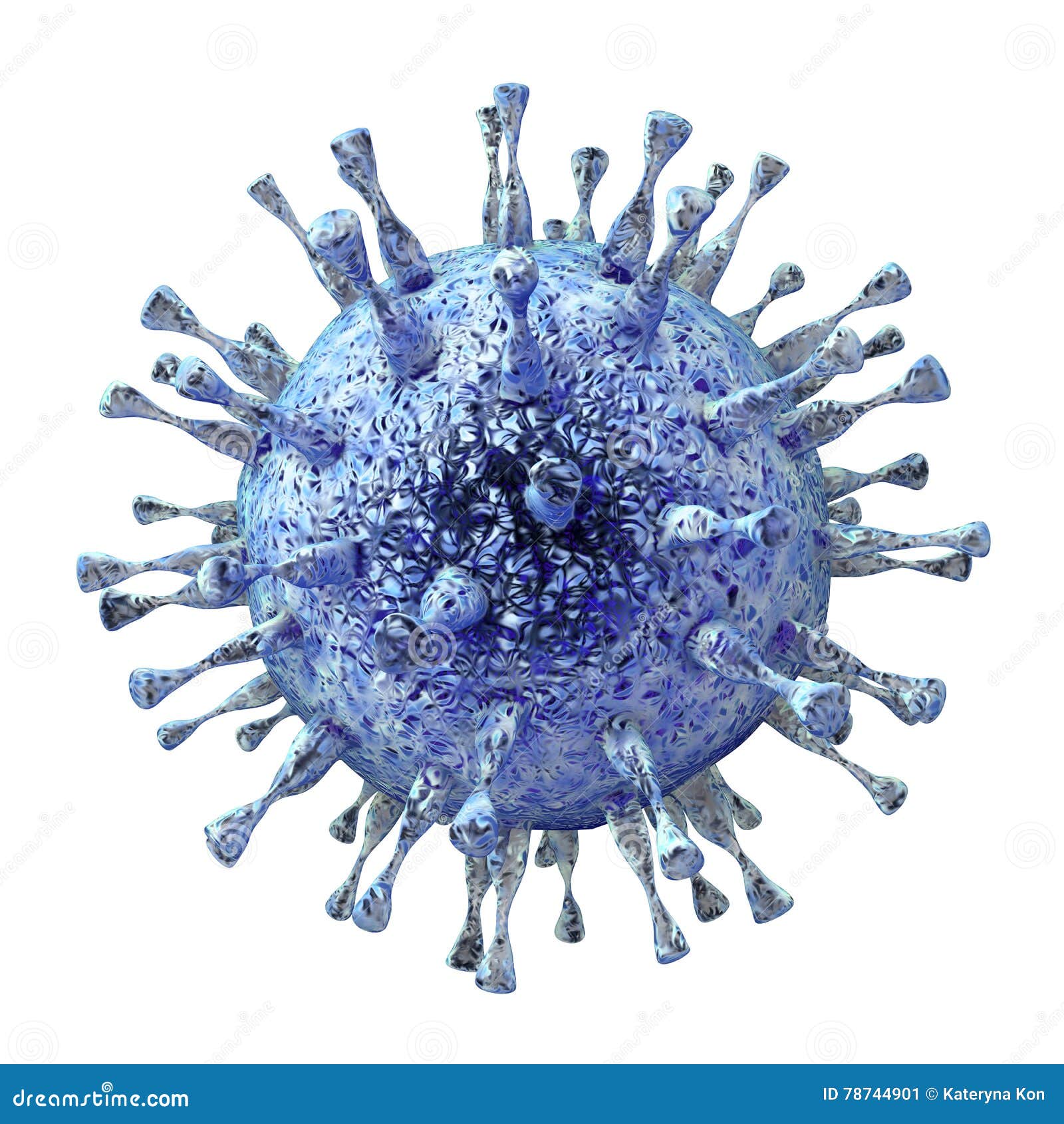 cytomegalovirus, dna virus from herpesviridae family