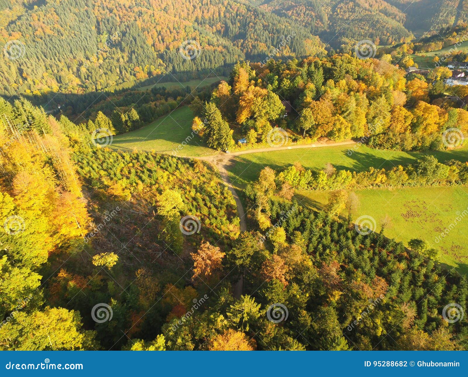 Czarny las przy jesienią. Widok z lotu ptaka czarny las Schwarzwald w Niemcy podczas spadku