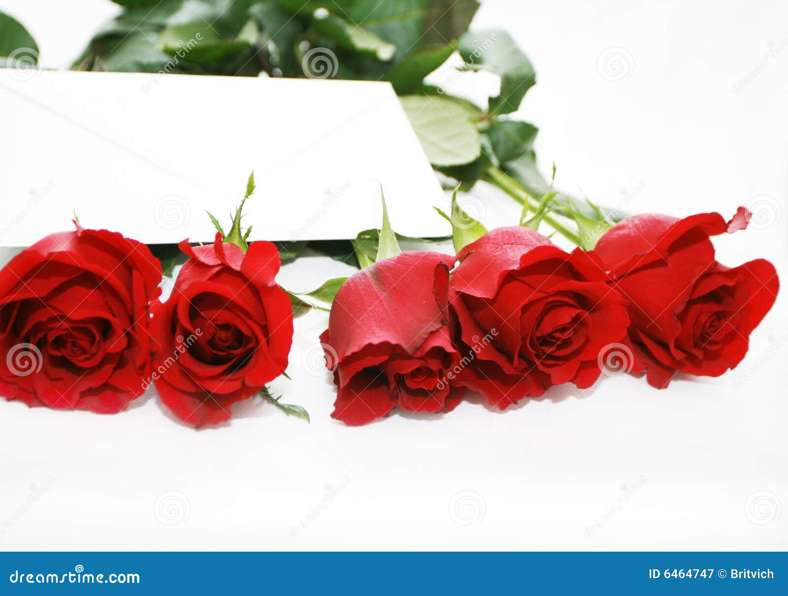 Czerwone róże listowe. Pusta bukiet czerwonych róż etykiety prezentu