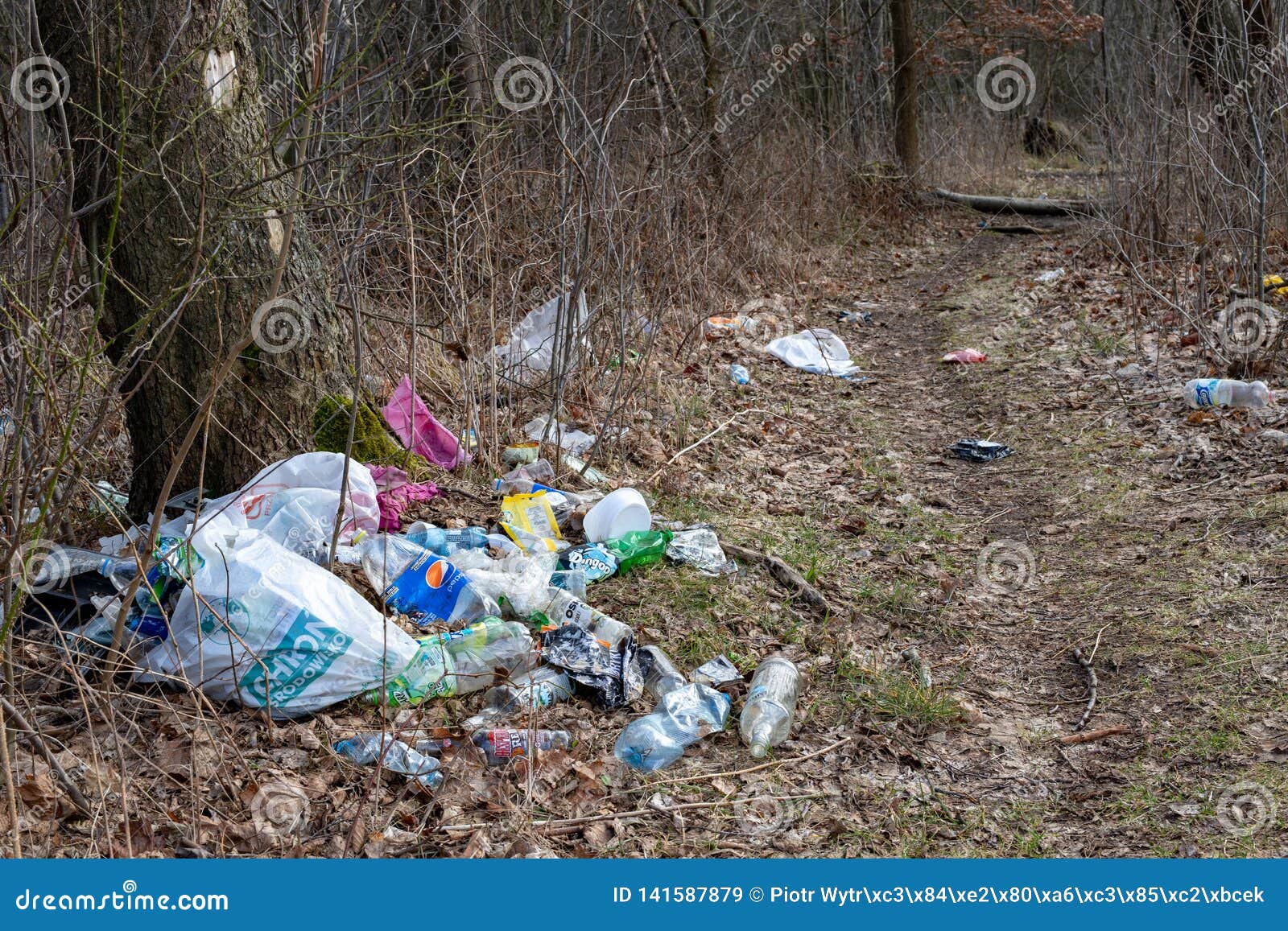 Czluchow, Pomorskie / Poland - March, 10, 2019: Garbage Thrown in the ...