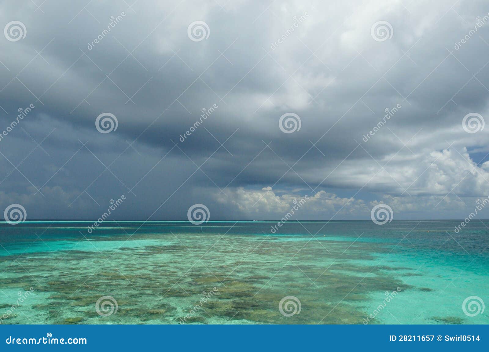 Céu nebuloso contra a luz - mar azul, tiro na palma de Cocos Bodu Hithi, Maldives