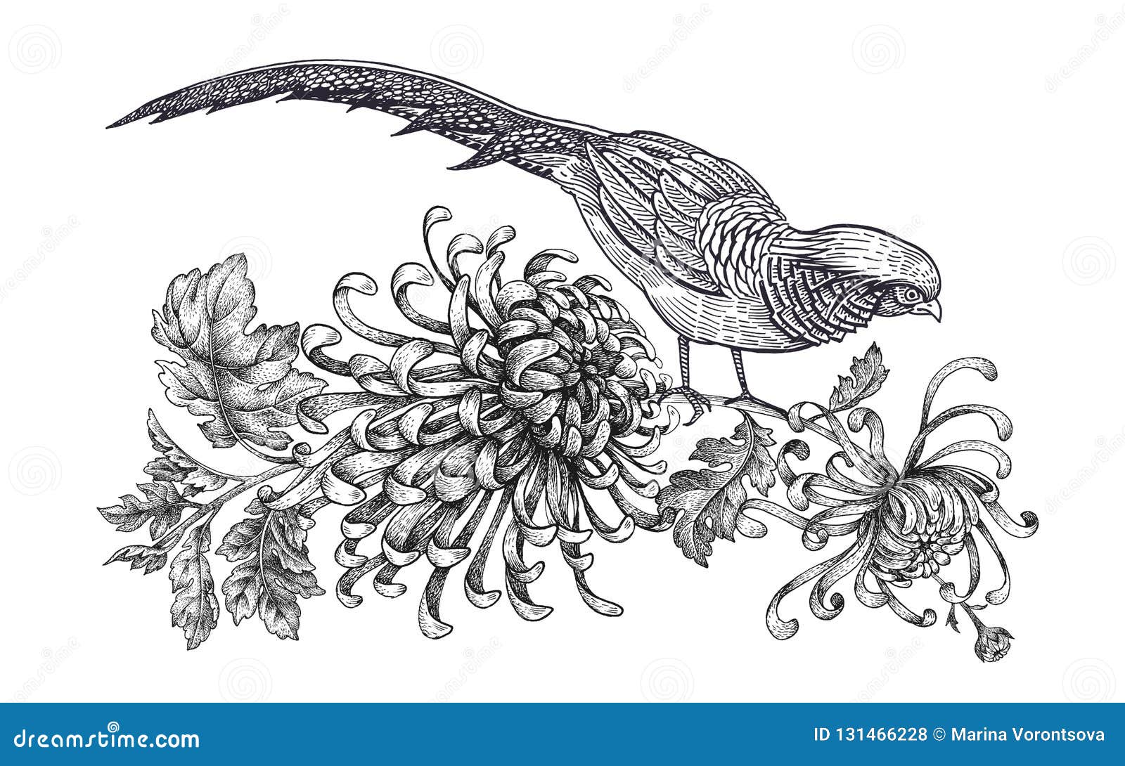 Oiseau Dessin Realiste Noir Et Blanc Décoration Avec L'oiseau Et Les Fleurs Faisan Réaliste Et Chrysanthème De Dessin De Main D'isolement Sur Le Fond Blanc Vecteur Illustration de Vecteur - Illustration du bouquet, conception: 131466228