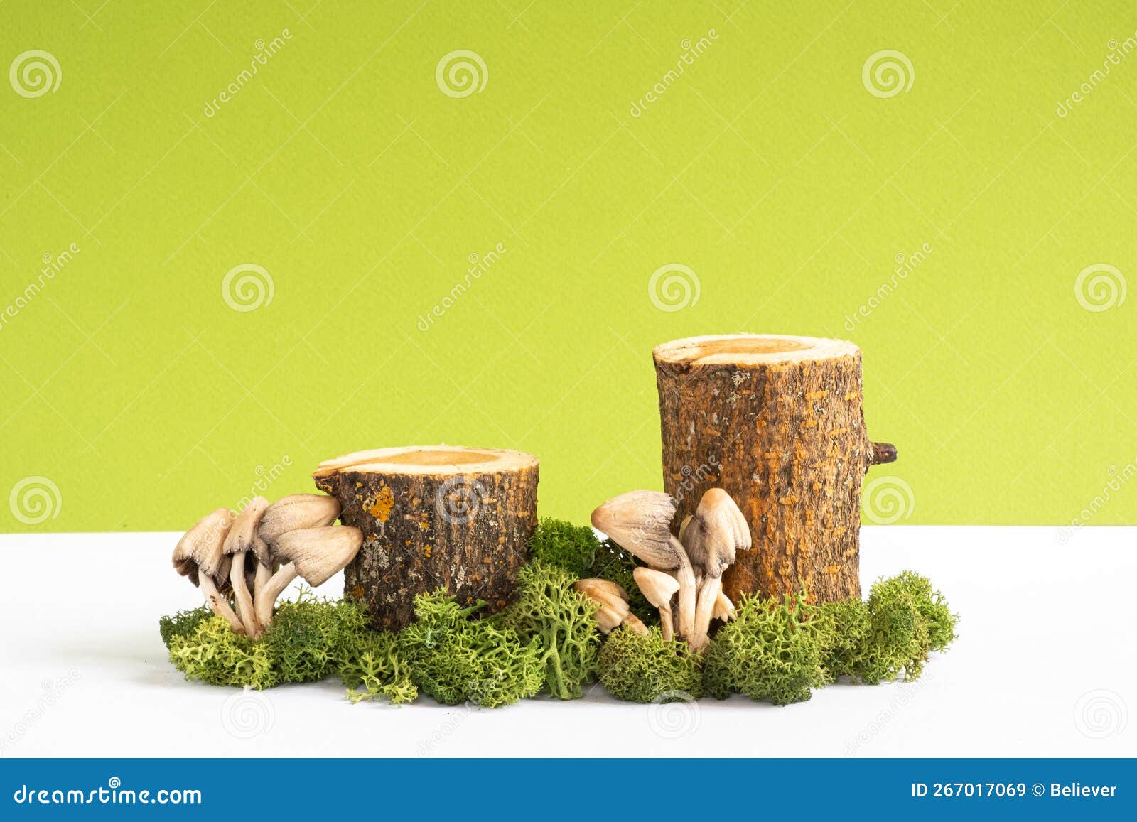 Champignon en bois naturel, décoration bois jaune