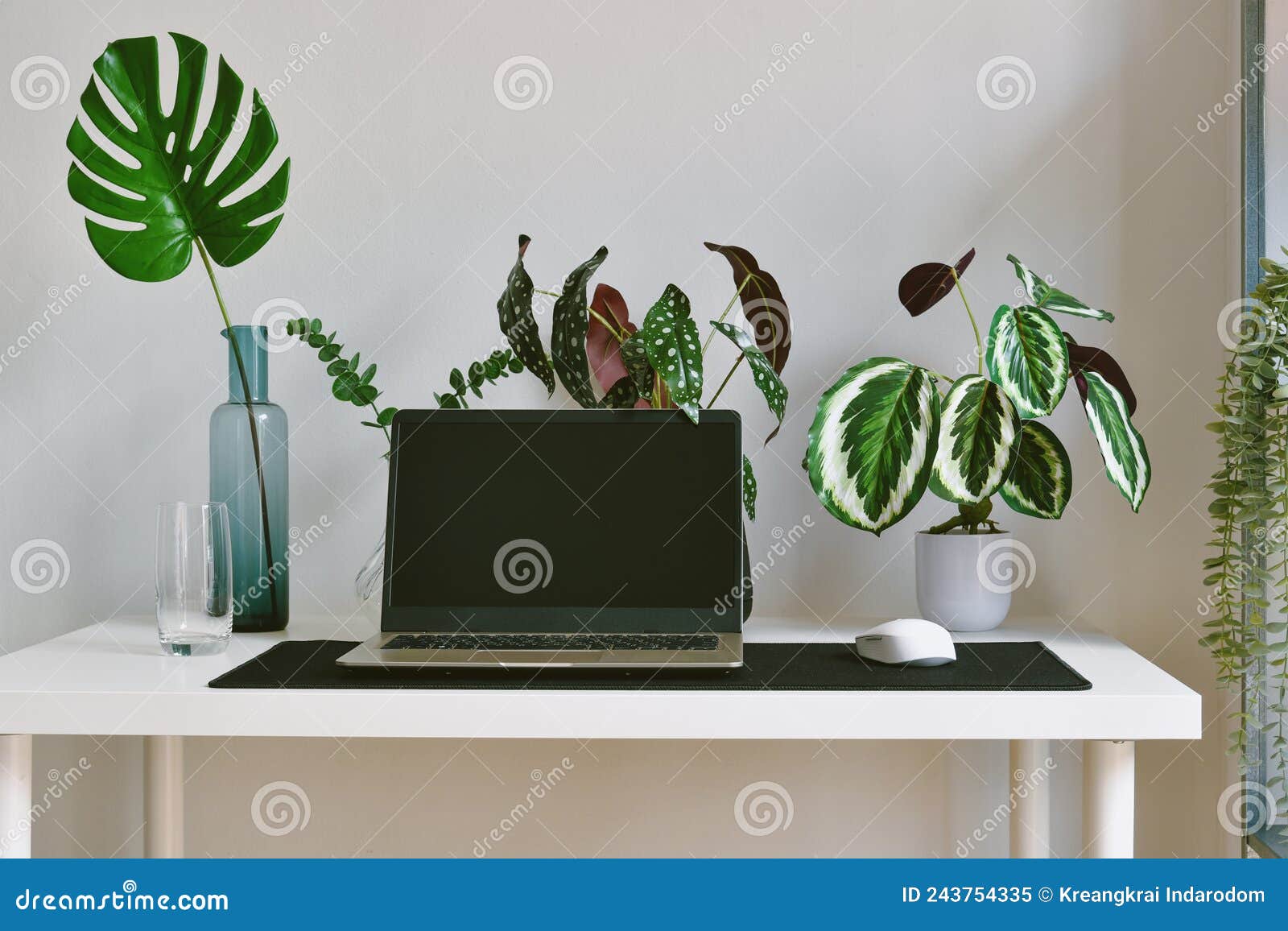 Décoration De Bureau Avec Plantes Vertes De L'arbre Espace De