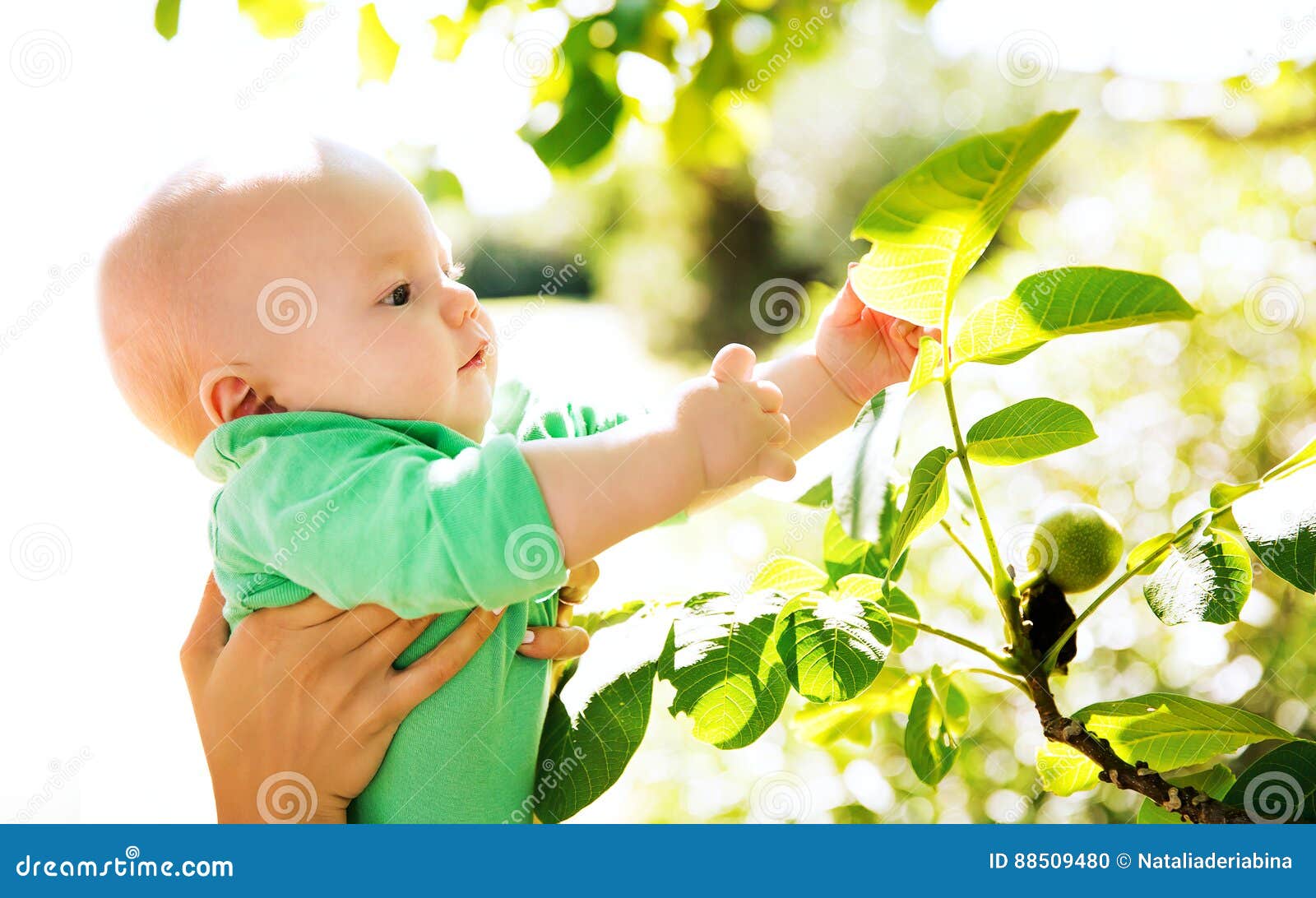 Decouverte De Nature Par Le Bebe Photo Stock Image Du Enfant Herbe