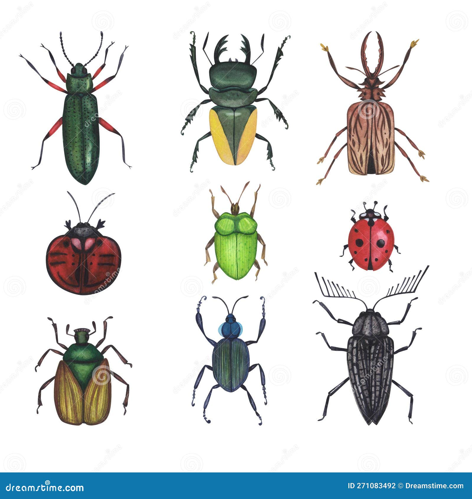 Collection De Coléoptères Colorés Réalistes Dessinant Des Images D'insectes  Ai Générative