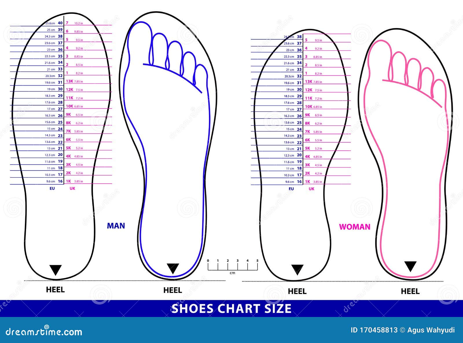 Ensemble De Chaussures Graphique Taille Ou Chaussettes Graphique Taille Ou Mesure  Pied Graphique Concepteps Vecteur