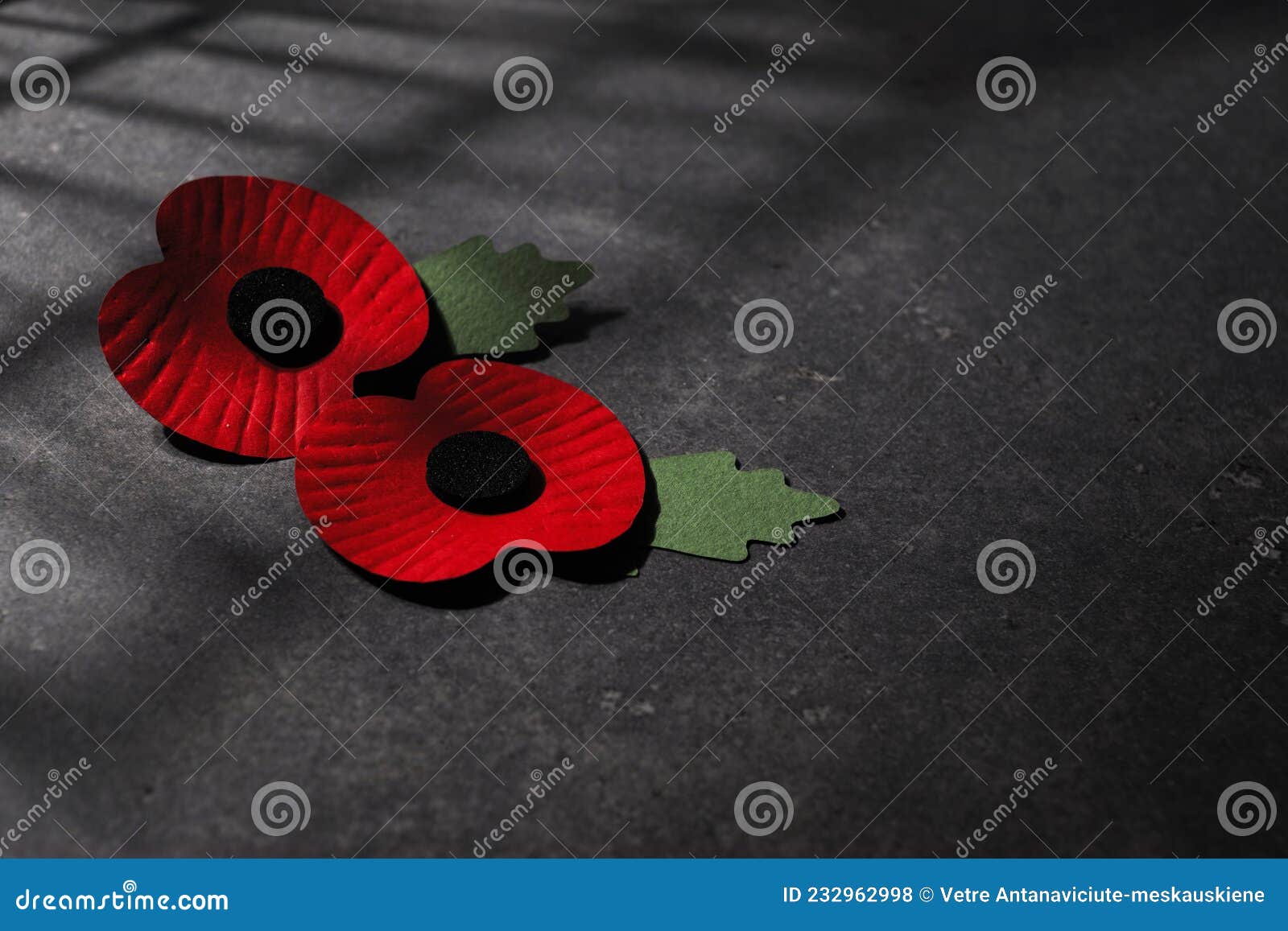Día De La Conmemoración De La Guerra Mundial. La Amapola Roja Es