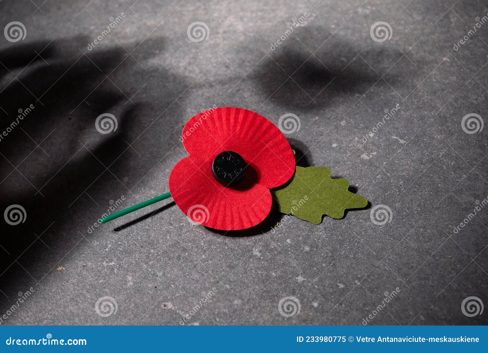 Día De La Conmemoración De La Guerra Mundial. La Amapola Roja Es Un Símbolo  De Recuerdo De Los Caídos En Guerra. Amapolas Rojas En Imagen de archivo -  Imagen de real, recuerde