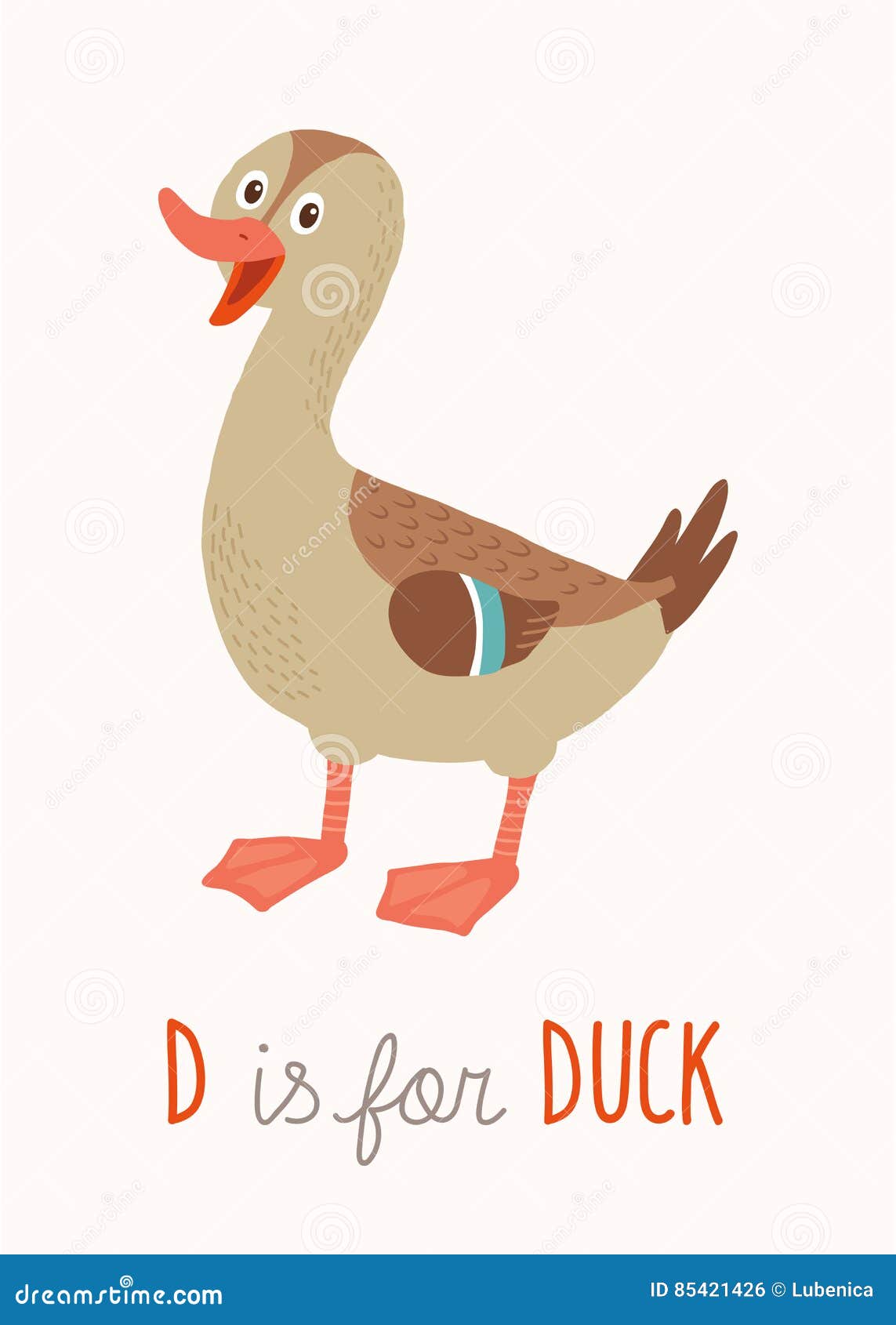 Слово duck. D is for Duck. Duck for Kids with White background.