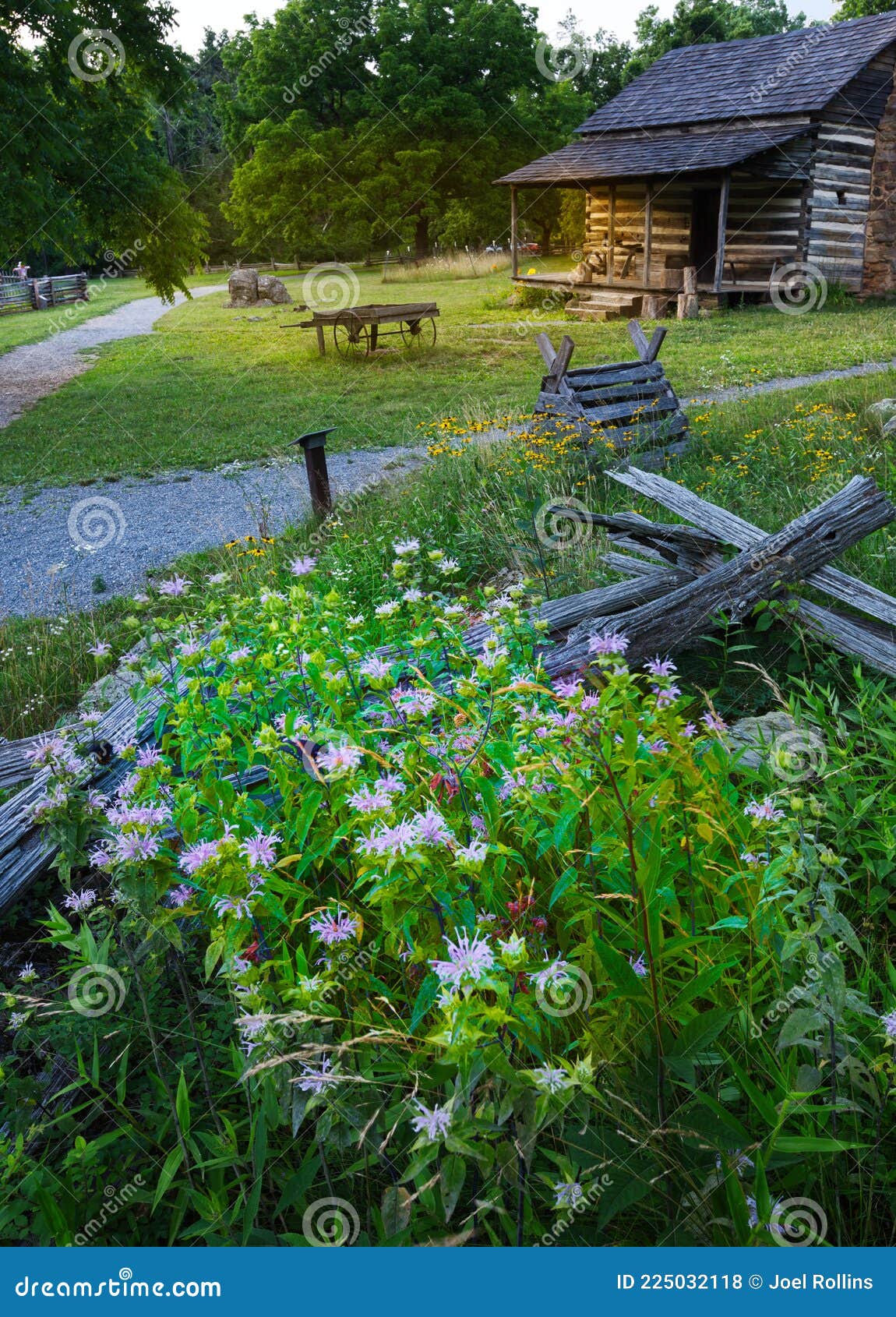 A Pioneer Cabin with Wildflowers Stock Photo Image of d810, grid