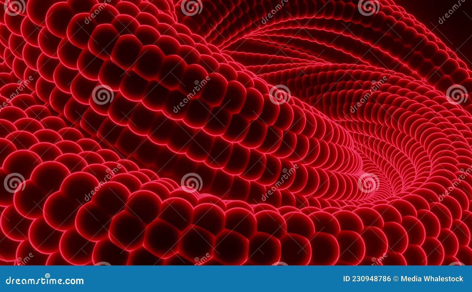 3D Snake, Elements Motion Graphics ft. closeup & macro - Envato Elements