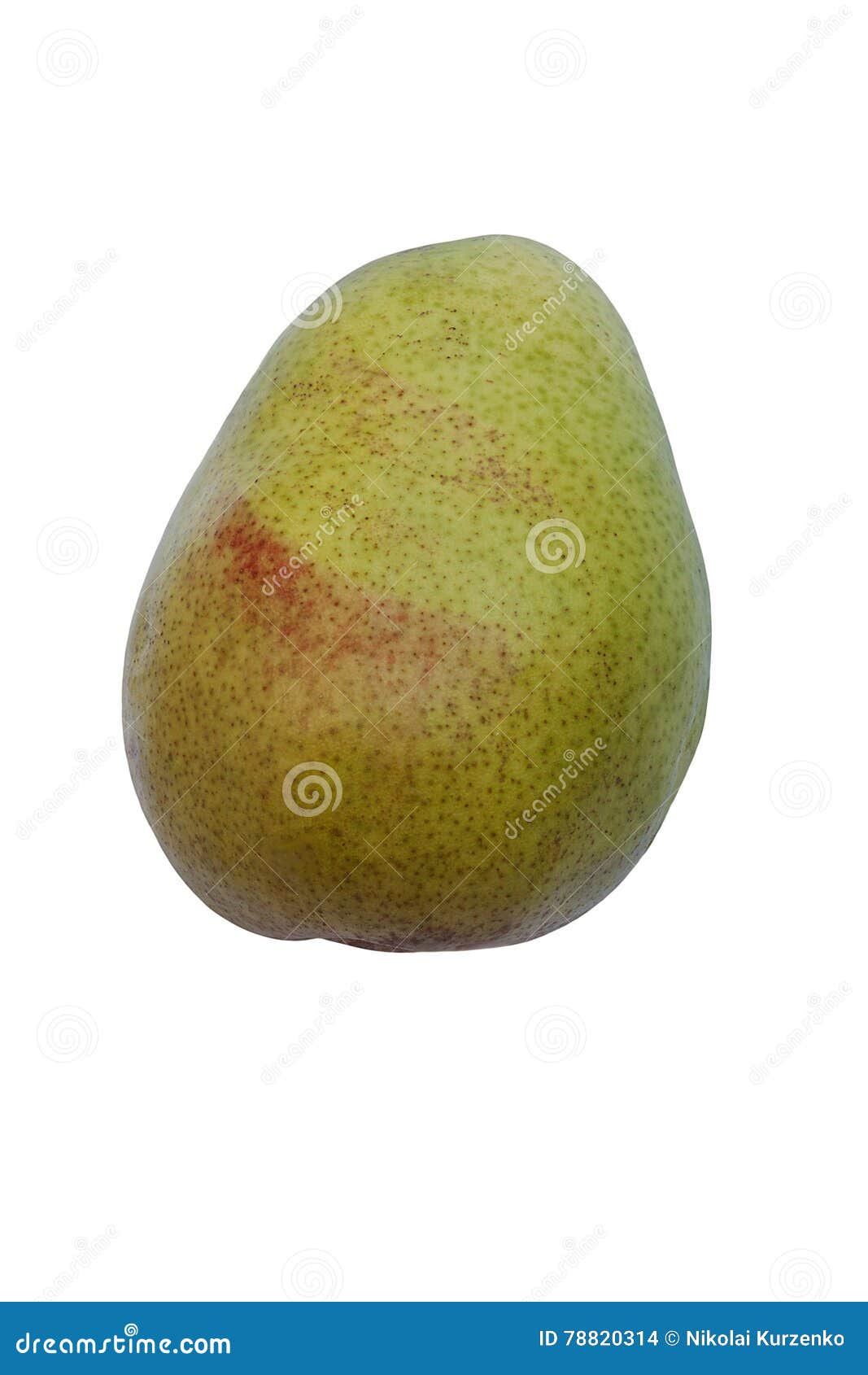 D Anjou pear stock photo. Image of nature, anjou, rosaceae 78820314